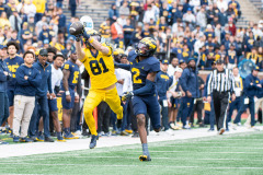 2025 Michigan Football Spring Game